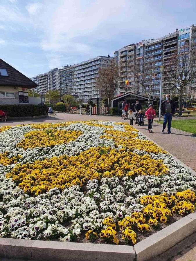 Sun And Fun Leilighet Blankenberge Eksteriør bilde